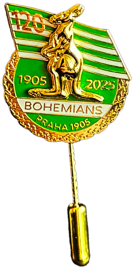 6366-odznak 120let vlajka jehla
